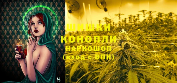 круглые Белокуриха