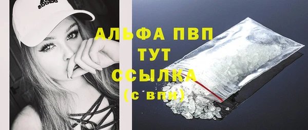 круглые Белокуриха