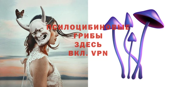 гашик Беломорск