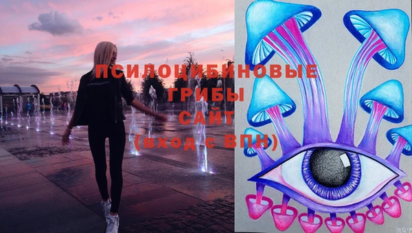гашик Беломорск