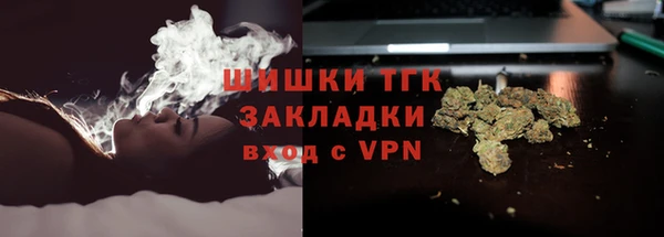 круглые Белокуриха