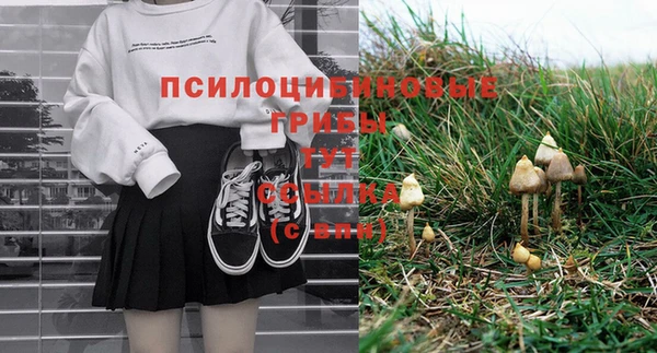гашик Беломорск