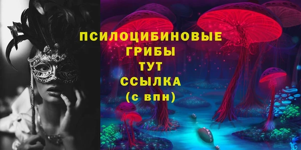 гашик Беломорск