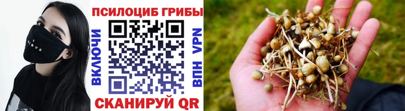 Псилоцибиновые грибы ЛСД  omg сайт  Ворсма  цена  